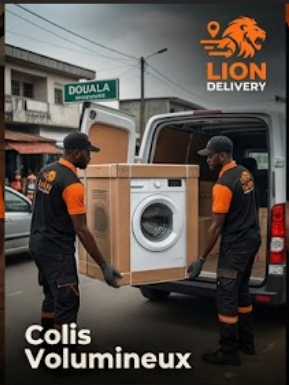 Colis volumineux