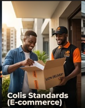 Colis Standards (E-commerce)